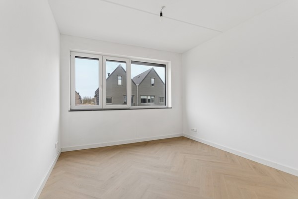 33-Moerasorchidee 13 - Lelystad.jpg